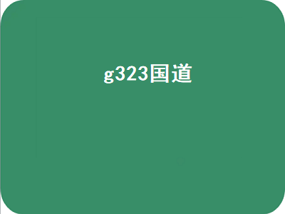 g323国道（g323国道广东段）插图